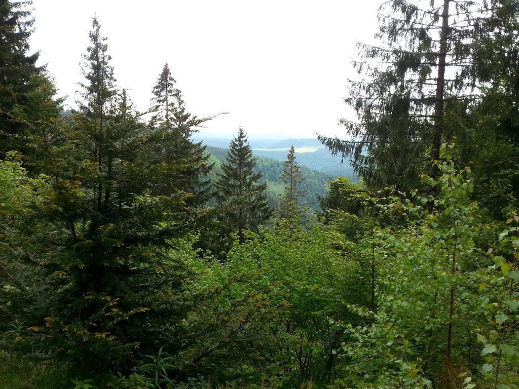 Giteovosges La Croix-aux-Mines Экстерьер фото