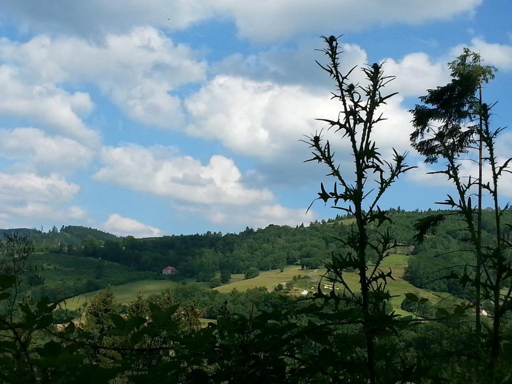 Giteovosges La Croix-aux-Mines Экстерьер фото