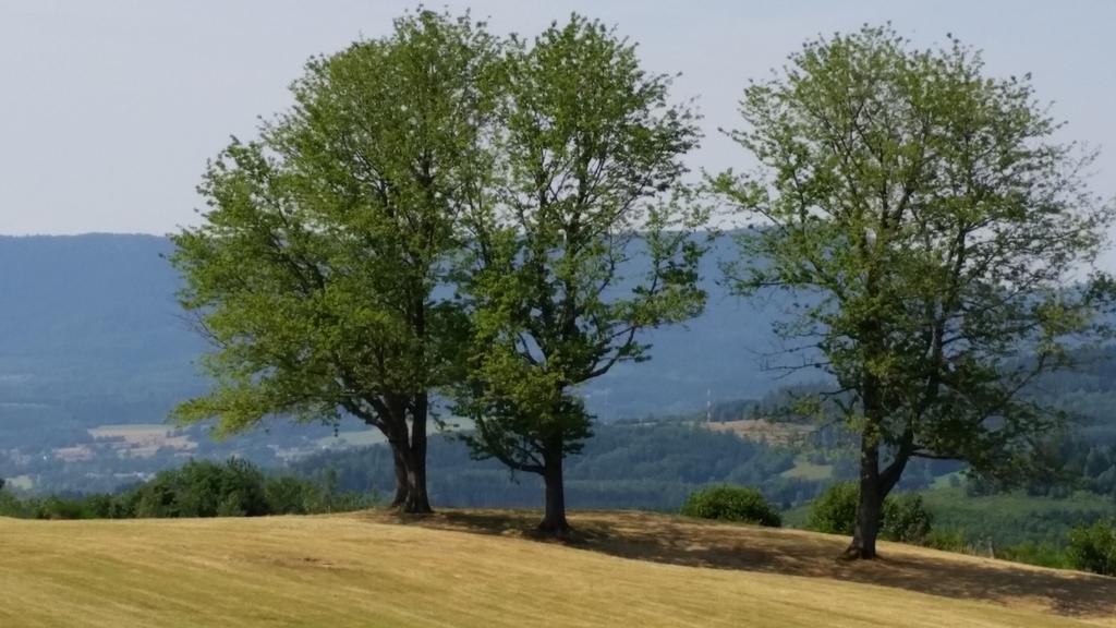 Giteovosges La Croix-aux-Mines Экстерьер фото