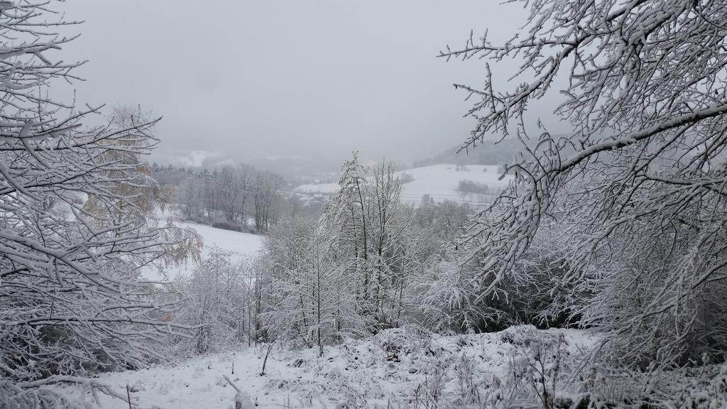 Giteovosges La Croix-aux-Mines Экстерьер фото